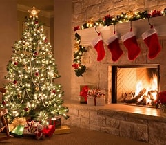 December 2024 Newsletter